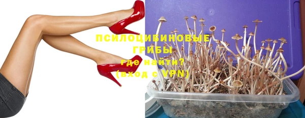 прущая мука Коряжма