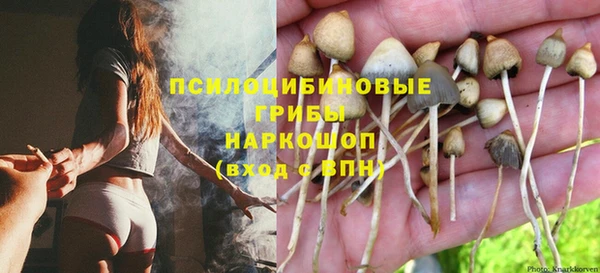 spice Костерёво
