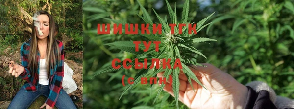 бошки Корсаков