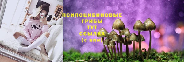 бошки Корсаков