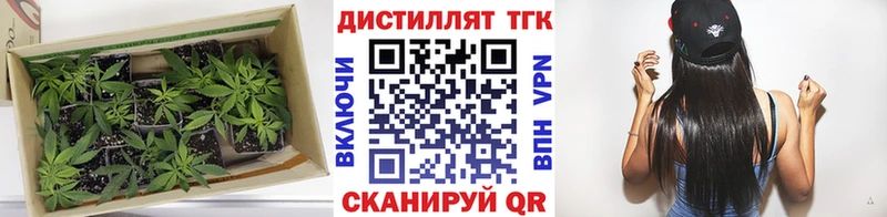 Купить  Приволжский  ТГК вейп