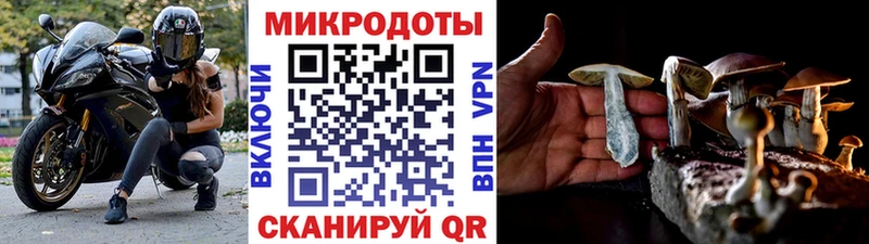 Купить  Приволжский  Галлюциногенные грибы Psilocybe 